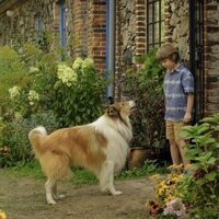 Foto de 'Lassie: A New Adventure'