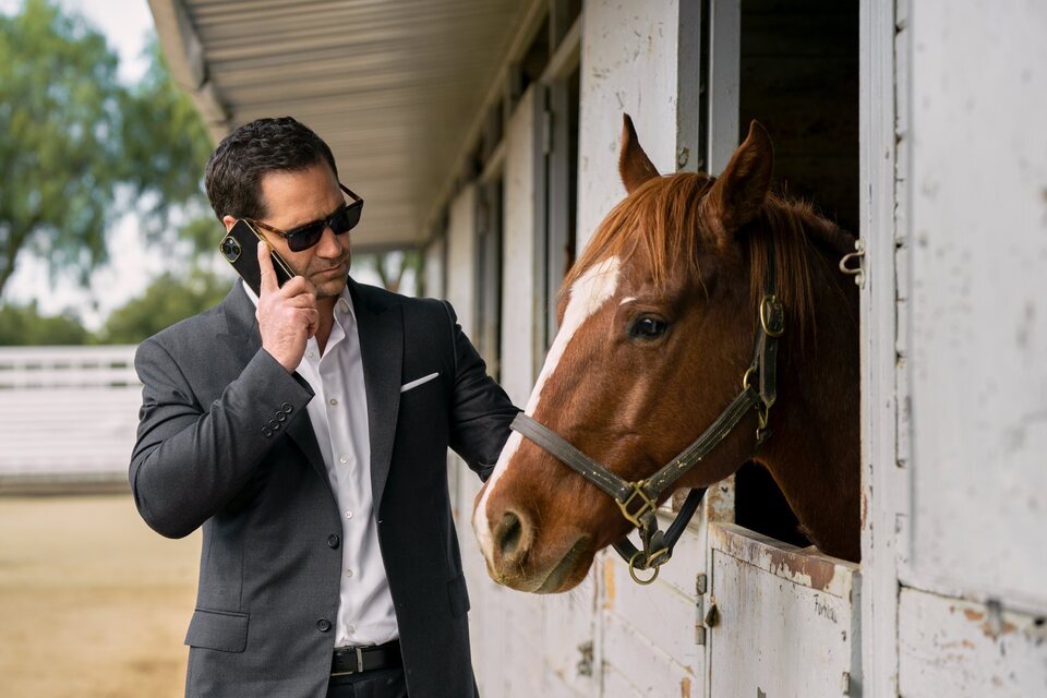 Imagen de la serie The Lincoln Lawyer