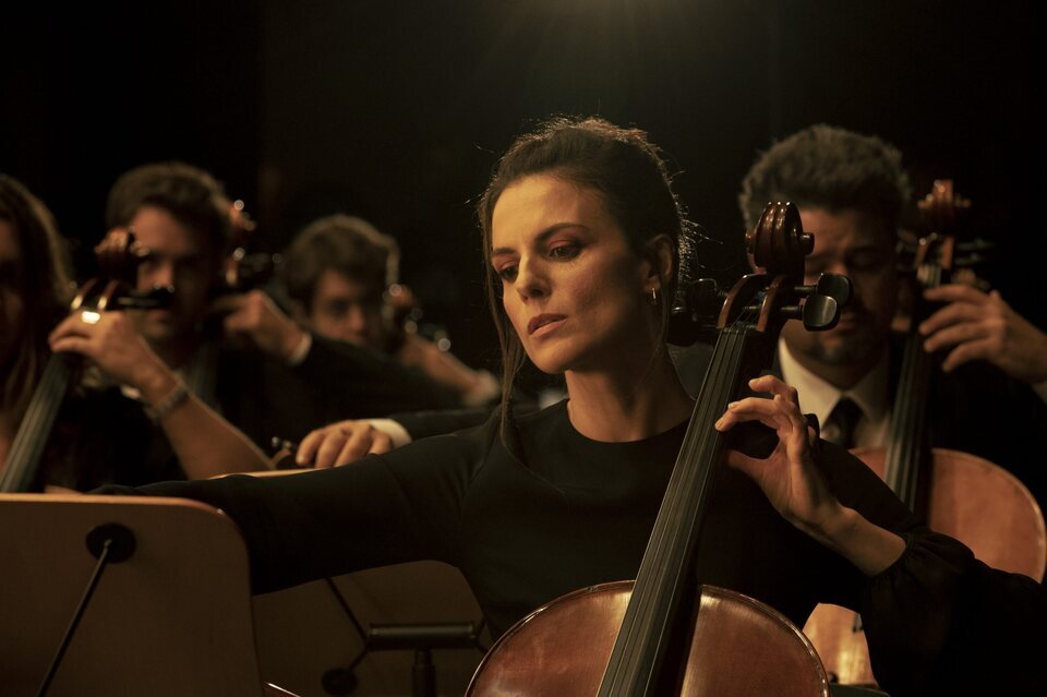 Sentimos las molestias