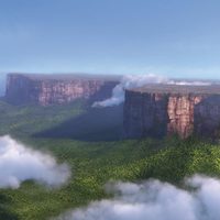 Foto de 'Up'