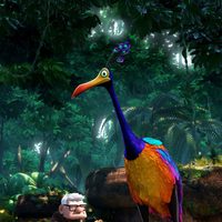 Foto de 'Up'