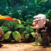 Foto de 'Up'