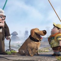 Foto de 'Up'