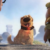 Foto de 'Up'