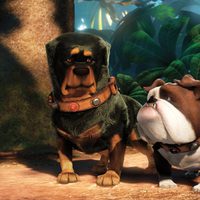 Foto de 'Up'