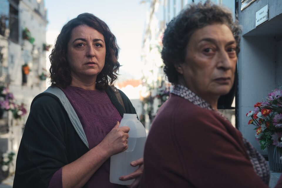 Imagen de la serie Rapa