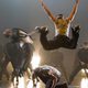 Imagen de la película Stomp the Yard