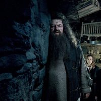 Foto de 'Harry Potter and the Order of the Phoenix'