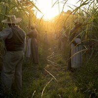 Foto de 'The Underground Railroad'