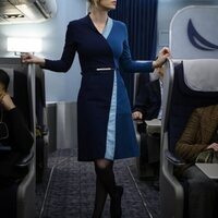 The Flight Attendant