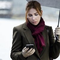 The Flight Attendant