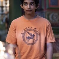 Percy Jackson y los dioses del Olimpo