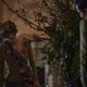 Imagen de la serie The Crown