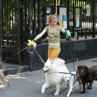 Foto de 'Whatever Works'