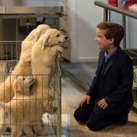 Foto de 'Fuller House'