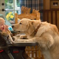Foto de 'Fuller House'