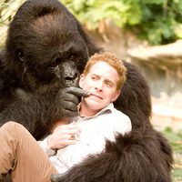 Dos canguros muy maduros