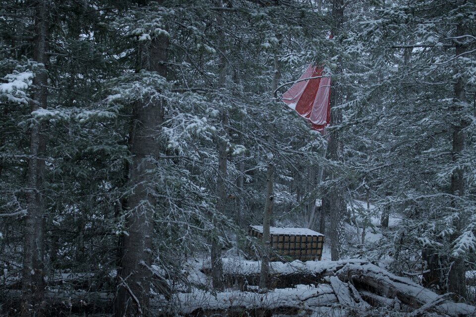 Imagen de la serie Black Summer