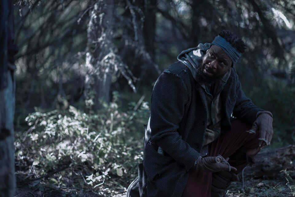 Imagen de la serie Black Summer