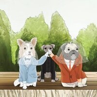Foto de 'Animals'