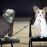 Foto de 'Animals'
