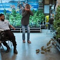 Foto de 'Disjointed'