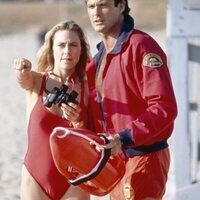 Los vigilantes de la playa