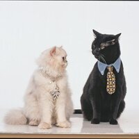 Sabrina, cosas de brujas