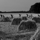 Imagen de la película The White Ribbon