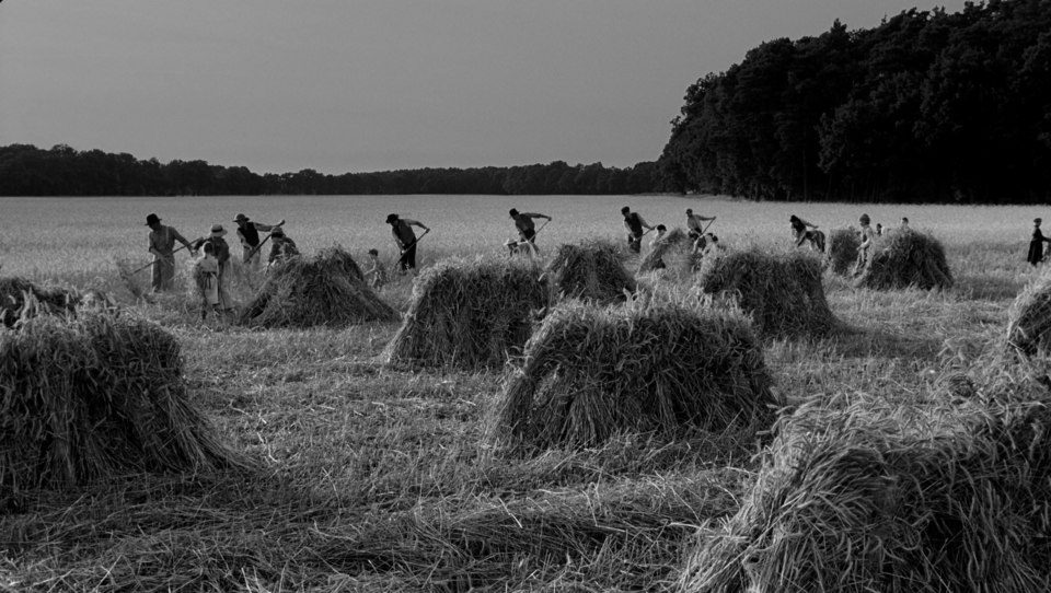 Imagen de la película The White Ribbon
