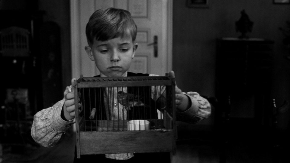 Imagen de la película The White Ribbon