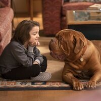Foto de 'Turner & Hooch'