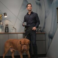 Foto de 'Turner & Hooch'