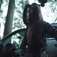 Imagen de la película In a Violent Nature