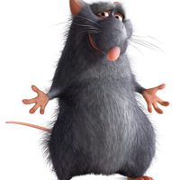 Ratatouille