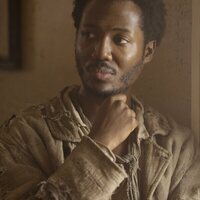 El pájaro carpintero