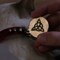 Foto de 'Charmed'