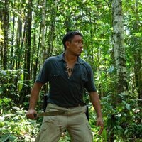 Foto de 'Green Frontier'