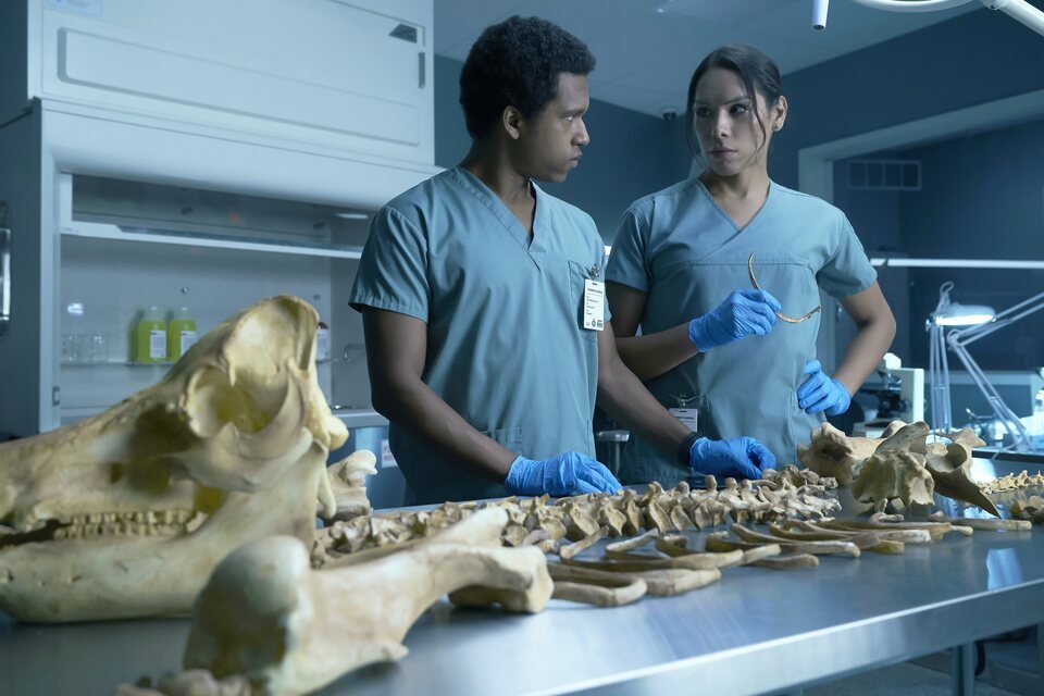 Imagen de la serie Coroner