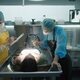 Imagen de la serie Coroner