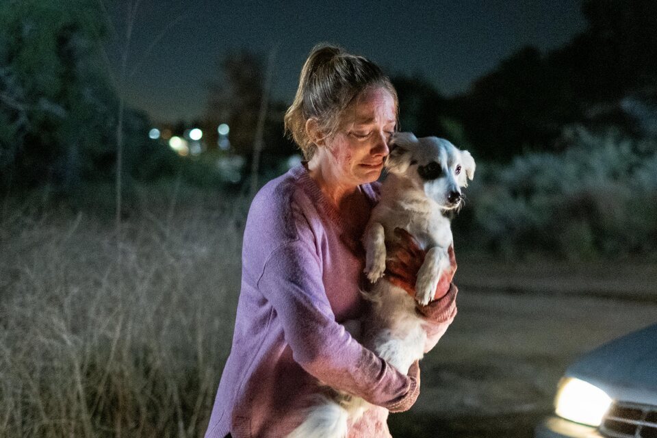 Imagen de la serie Into the Dark