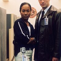 The Wire (Bajo escucha)