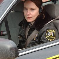 The Wire (Bajo escucha)