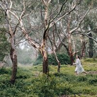 Foto de 'Picnic at Hanging Rock'