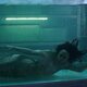 Imagen de la serie Siren