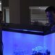 Imagen de la serie Siren