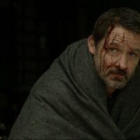 Foto de 'Cardinal'