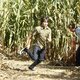 Imagen de la serie United States of Tara