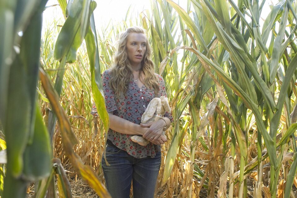 Imagen de la serie United States of Tara