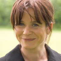 Luciérnagas en el jardín